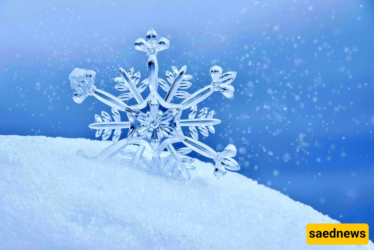 snow 
