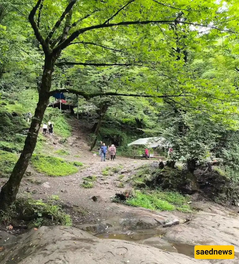 kordkuy