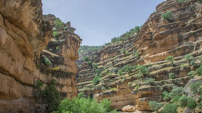 Shirez Gorge