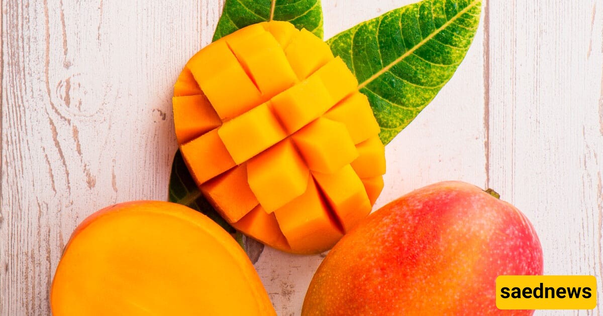 Mango