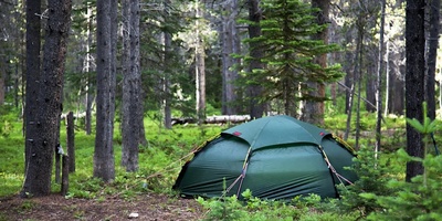 Essential Gear That Makes Nature Trips More Comfortable And Enjoyable