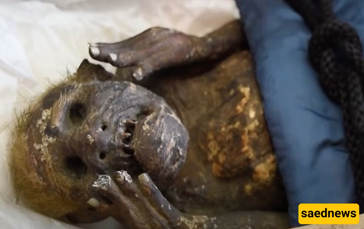 Astonishing Discovery of an Ancient Mummy with a Half-Human Body + Photos