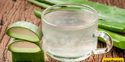 How to Make Delicious Aloe Vera Compote!