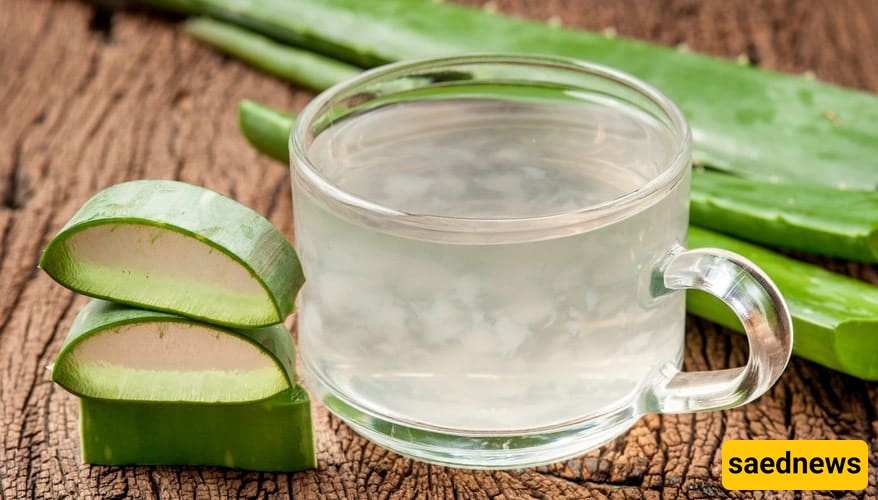 How to Make Delicious Aloe Vera Compote!