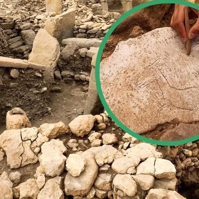 Discovery of a 'Donkey' Image in an 11,000-Year-Old Settlement