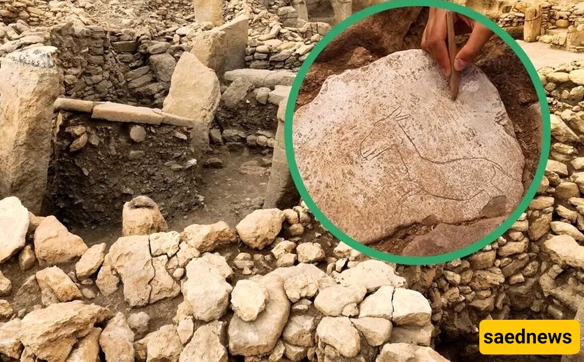 Discovery of a 'Donkey' Image in an 11,000-Year-Old Settlement