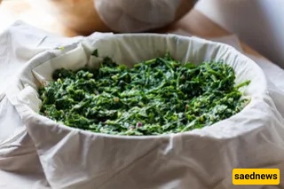 Spanakopita recipe 