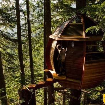 Discover the World’s Most Beautiful Treehouses