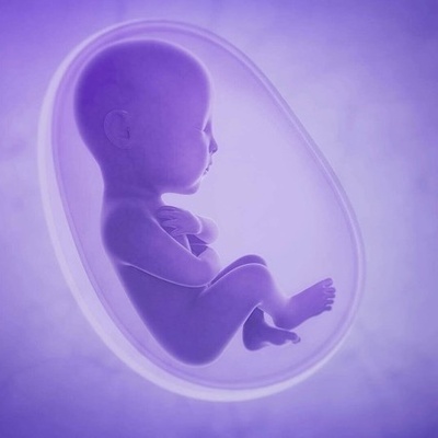 Methods to strengthen the fetal placenta (placenta health)
