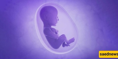 Methods to strengthen the fetal placenta (placenta health)