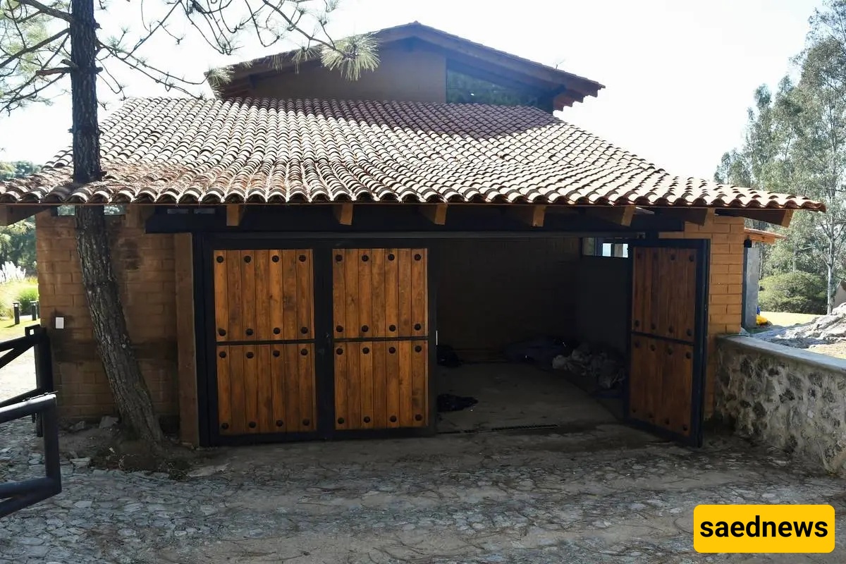 El Mencho