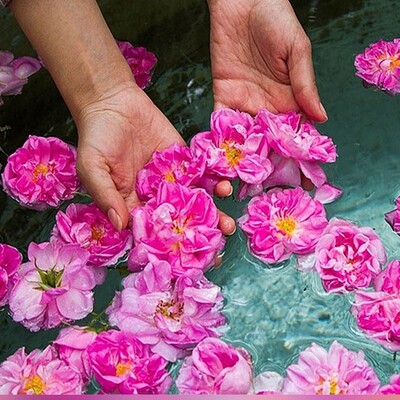 Kashan Rose Water Festival, The Blossoming Heart of Iran!