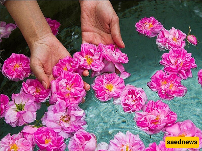 Kashan Rose Water Festival, The Blossoming Heart of Iran!