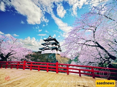 Discover Japan’s Most Beautiful Castles