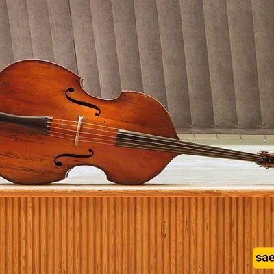 Double Bass: The Largest and Deepest Bowed String Instrument!