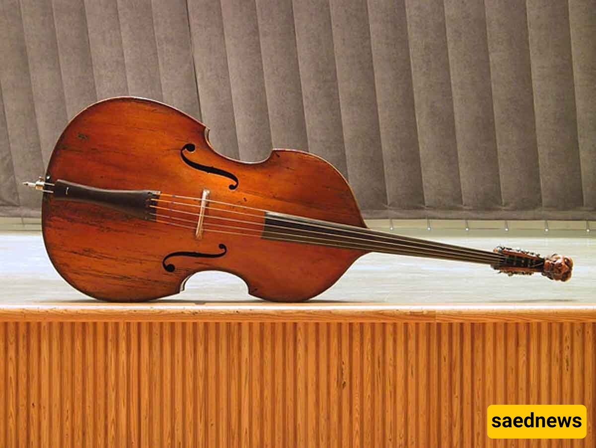 Double Bass: The Largest and Deepest Bowed String Instrument!