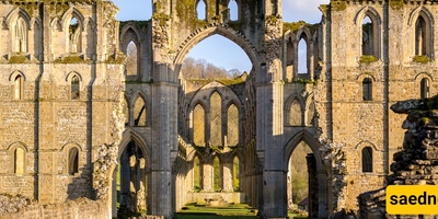 A Medieval Skeleton Had Injuries Like a Modern Car Crash—Then Scientists Found the Cause