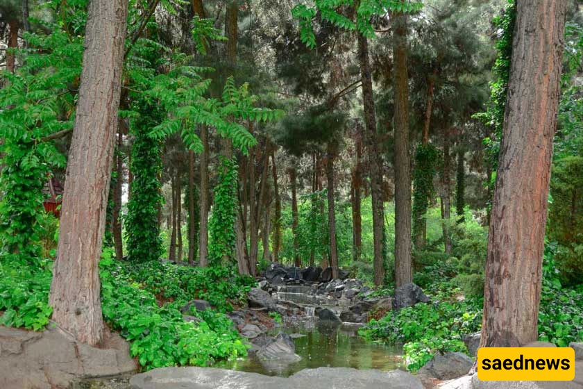 Mashhadd Garden