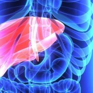 Interpretation of Liver Enzyme Tests