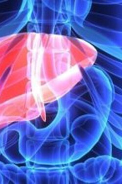 Interpretation of Liver Enzyme Tests