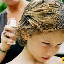 Shampoo, Combing, or Haircuts? The Best Ways to Treat Kids’ Head Lice ✂️