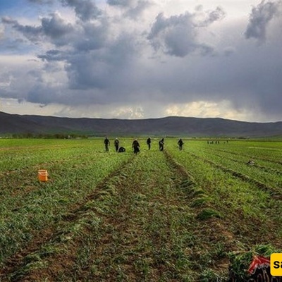 Global Food Prices Set to Rise Again, UN Warns