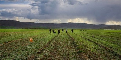 Global Food Prices Set to Rise Again, UN Warns