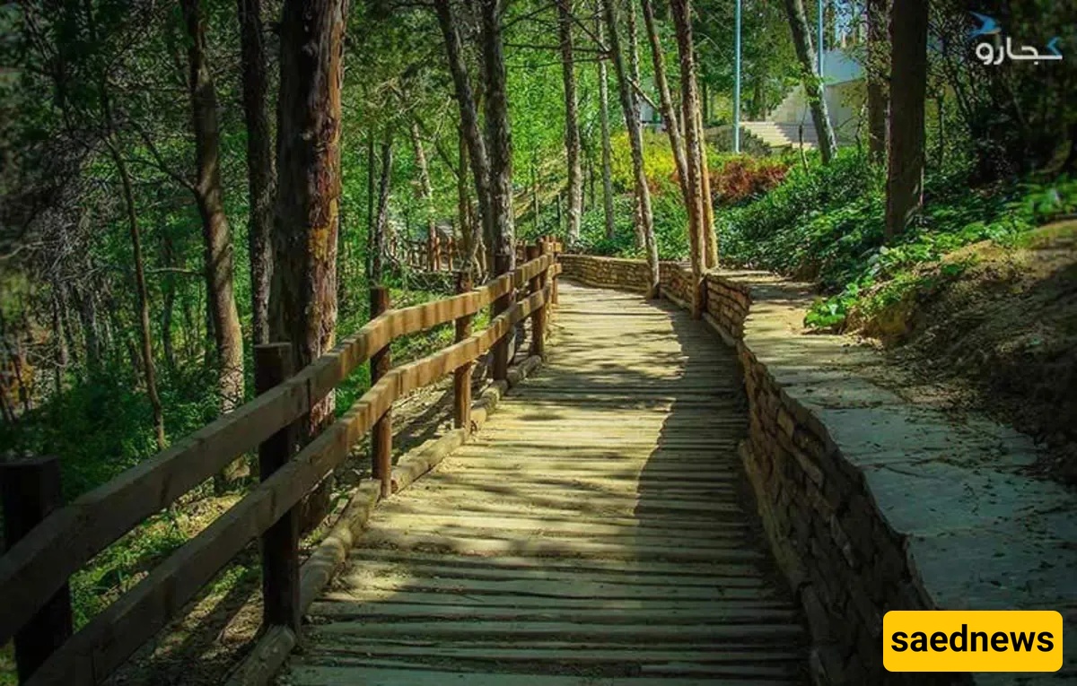 Taleghani Park