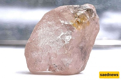 The Largest And Rarest Pink Diamond In The World Discovered