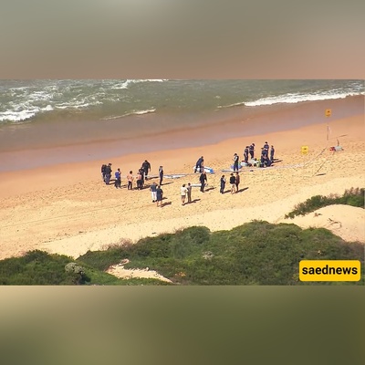Fatal shark attack in Sydney! Veteran surfer killed, beaches closed