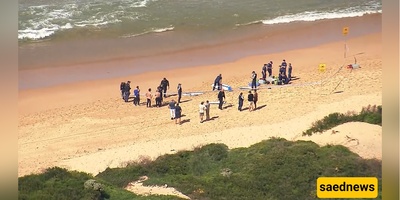 Fatal shark attack in Sydney! Veteran surfer killed, beaches closed
