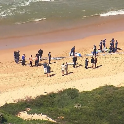 Fatal shark attack in Sydney! Veteran surfer killed, beaches closed