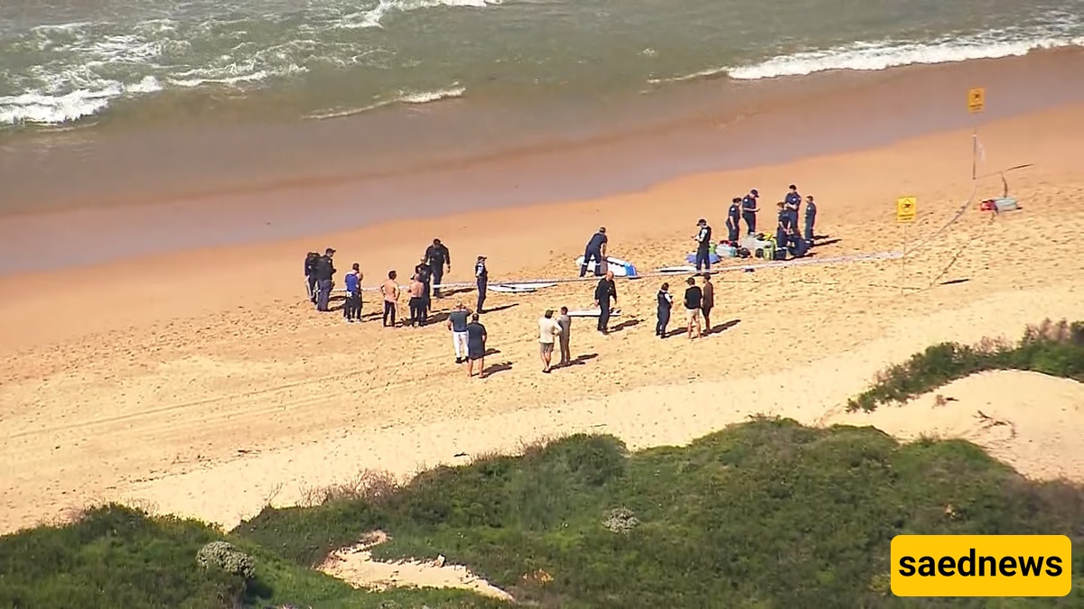 Fatal shark attack in Sydney! Veteran surfer killed, beaches closed