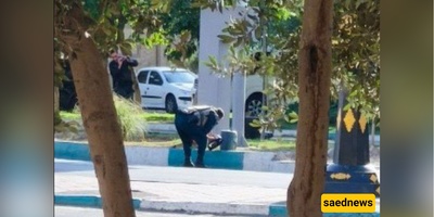 "Daring Foiled: Israeli Electronic Bomb Plot Neutralized in West Tehran — Exclusive Video!"