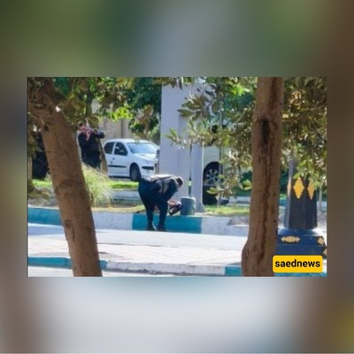 "Daring Foiled: Israeli Electronic Bomb Plot Neutralized in West Tehran — Exclusive Video!"