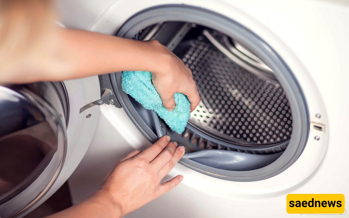 Home Tricks to Eliminate Odors and Mold in Your Washing Machine