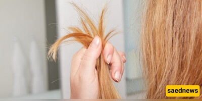 How to Eliminate Split Ends and Prevent Hair Breakage: Expert Tips