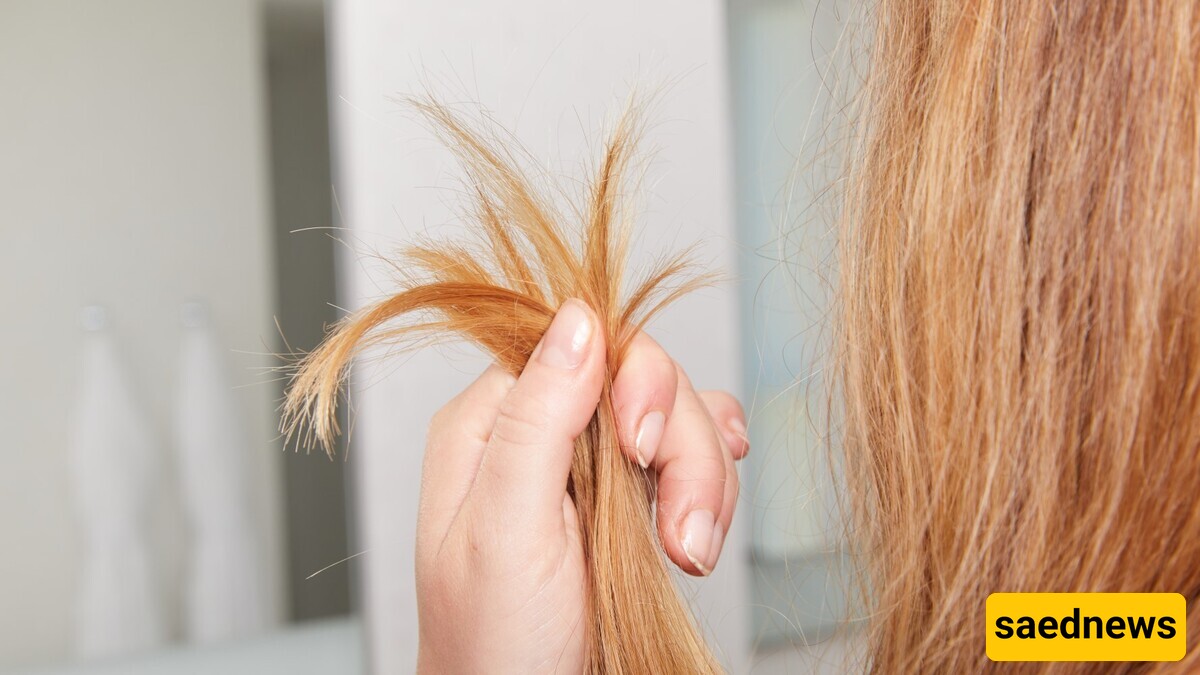 How to Eliminate Split Ends and Prevent Hair Breakage: Expert Tips