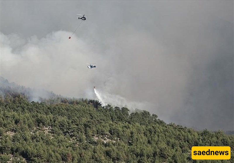 Turkey Wildfires Rage amid Heatwave, Strong Winds