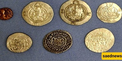 Rare Treasure Unearthed During a Family’s Spring Cleaning: Basement Holds a Mysterious Secret