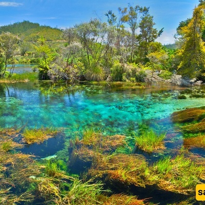 The Clearest Lake in the World: Blue Lake, New Zealand