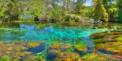 The Clearest Lake in the World: Blue Lake, New Zealand