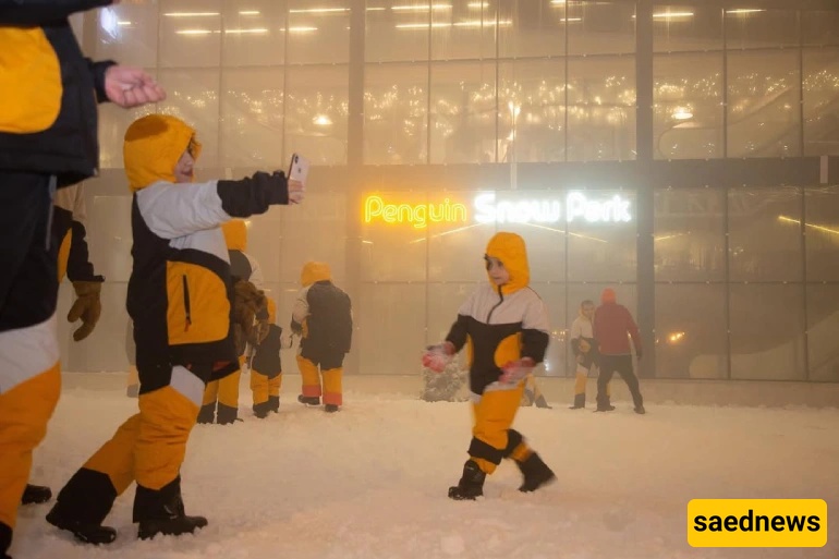 Penguin Snow Park, kish
