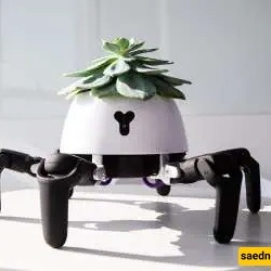 A Strange Robot That Takes Care of Plants
