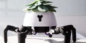 A Strange Robot That Takes Care of Plants