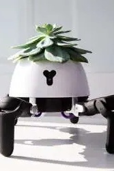 A Strange Robot That Takes Care of Plants