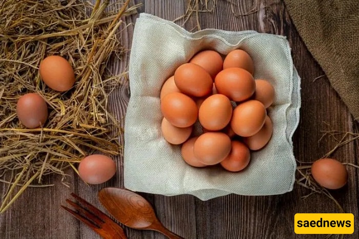 eggs 