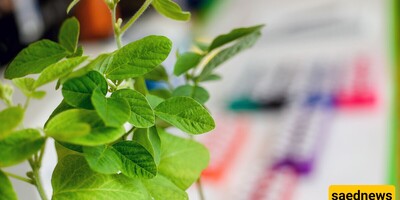 Gene Editing in Agriculture: Is It the Key to Sustainable Farming?