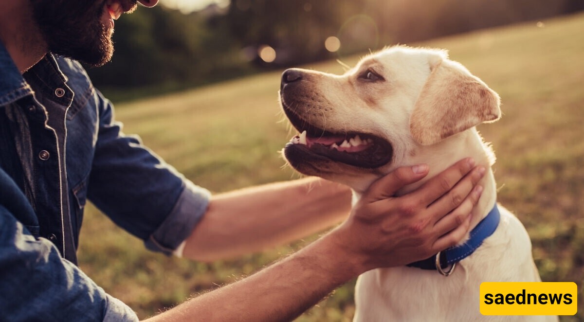 This Dog Ate Its Owner; What Happened?