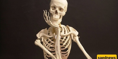 Young American's Shocking Business Selling Human Bones
